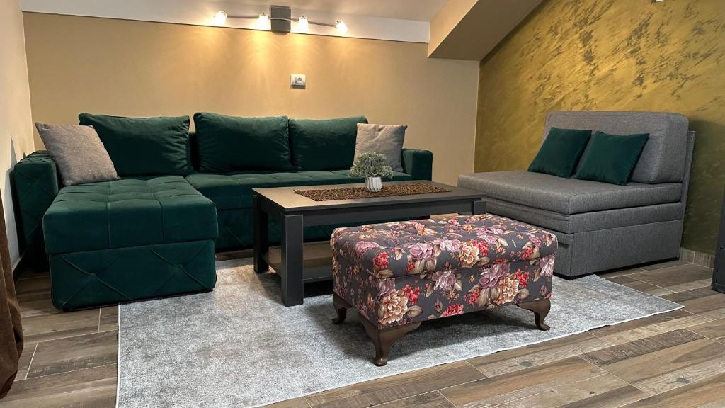a living room with a green couch and a chair at Apartmani Kovačević MKM Banja Vrujci in Gunjica