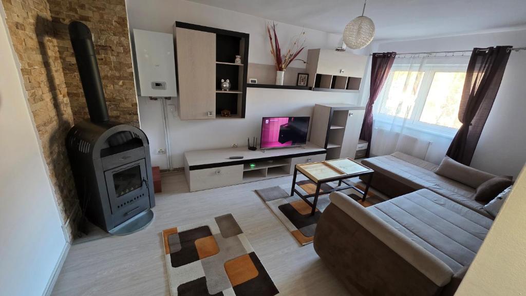 a living room with a couch and a fireplace at Apartament Balto in Borsec
