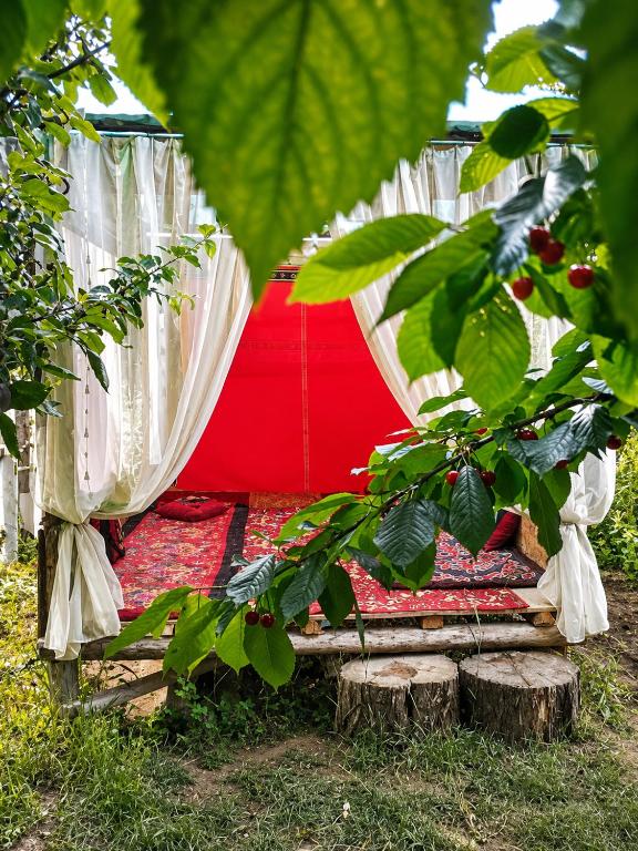a red and white blanket sitting in the grass at Guest House Dinara in Kaji-Say