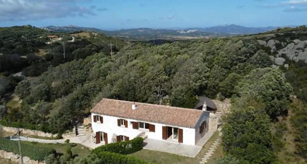 an aerial view of a house in a forest at Stazzu La Vigna Di Maria in Aglientu