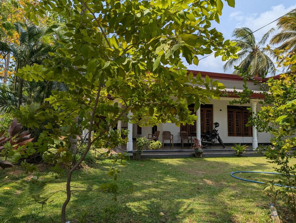 a house with a garden and a tree at Randiwa Homestay in Sigiriya