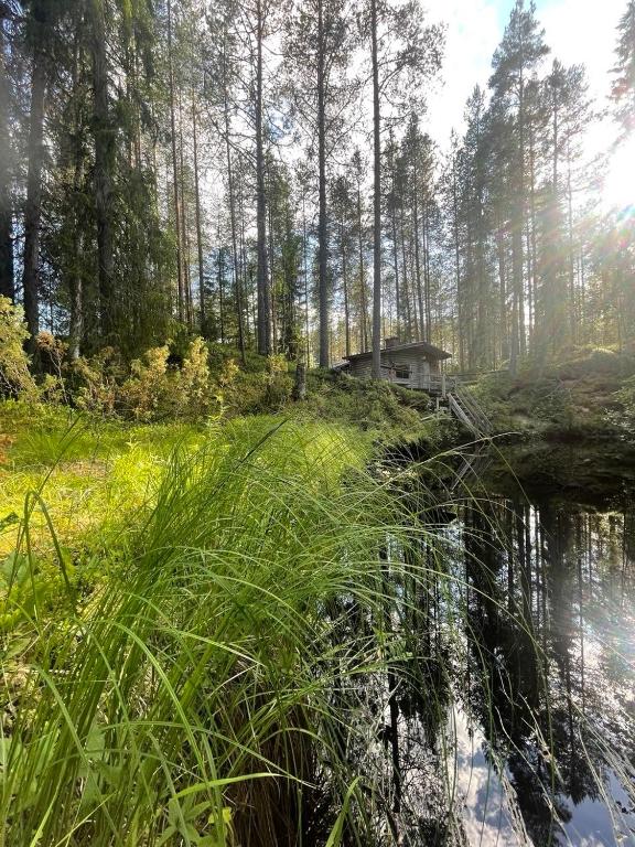 a house in the woods next to a body of water at Kangasjoki Riverside Camp in Suomussalmi