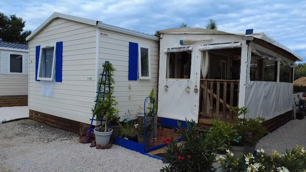 a small white shed with a door and some plants at Le Deauville in Le Grau-dʼAgde