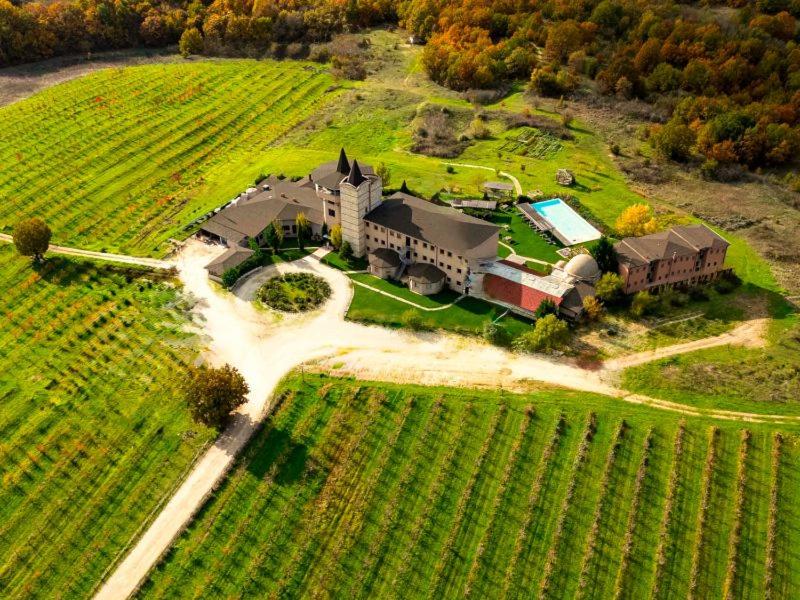 an aerial view of a large house in a vineyard at Bakucha Vineyard Hotel ve Spa in Lüleburgaz