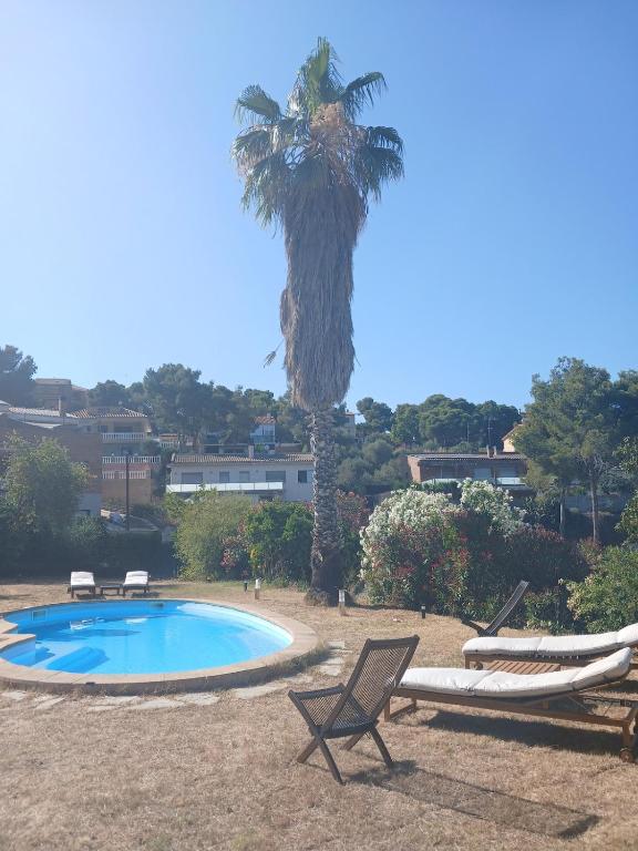 a palm tree with two lounge chairs and a pool at Private pool and garden in Cunit
