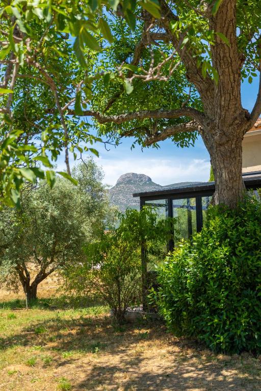 a tree and a building with mountains in the background at Maison de campagne in Aubagne