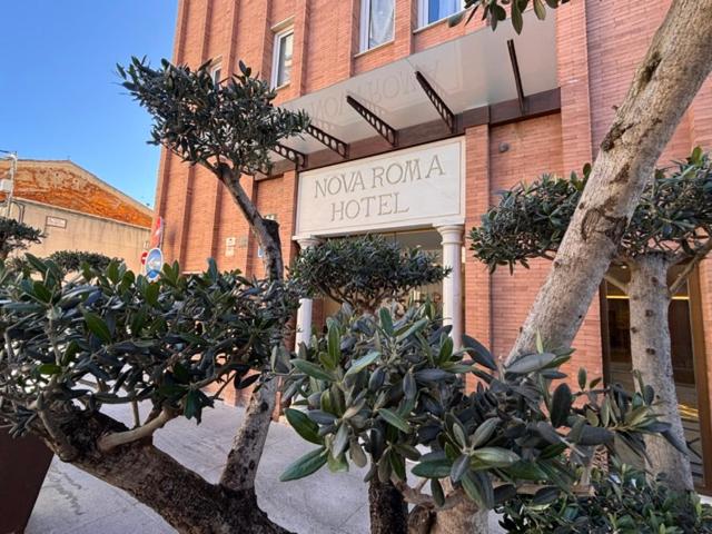 ein Hotel mit Bäumen vor einem Gebäude in der Unterkunft Hotel Nova Roma in Merida