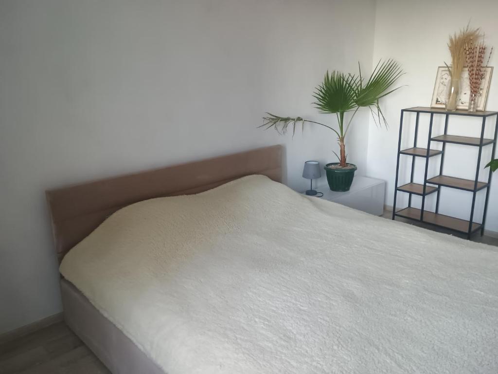 a bed in a bedroom with two plants at Уютная комната в квартире в ЖК Одесский Бульвар in Teremki