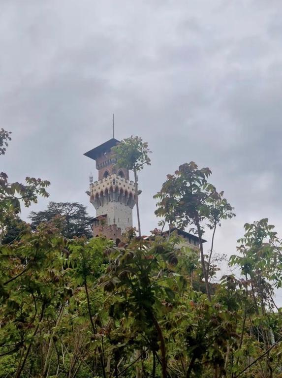 a tower on a hill with trees in the foreground at Paradise Jungle in Paradiso