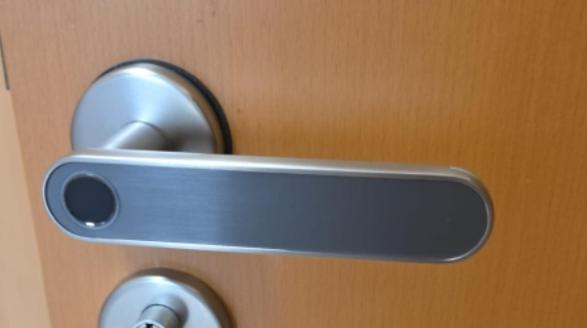 a metal door handle on a wooden door at WH37a in Rüsselsheim