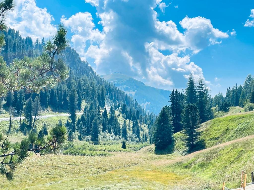 a grassy hillside with trees and a mountain at Almhaus Zwergbirke in Schönfeld in Thomatal