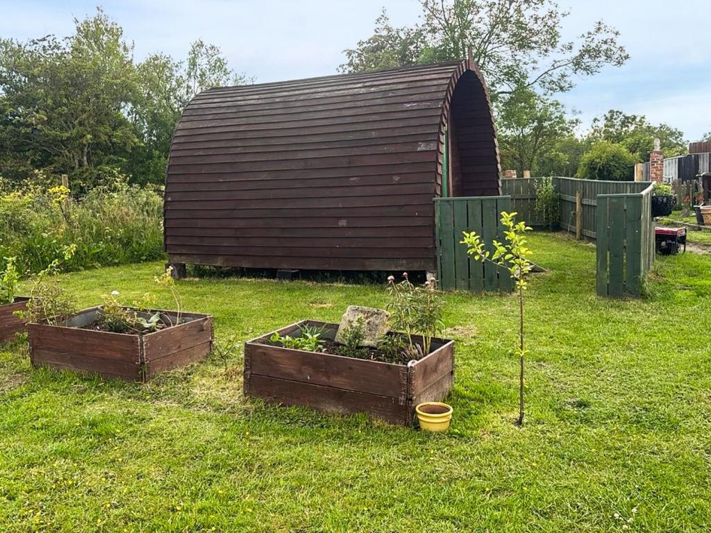 a garden with two plants and a shed at Woodpecker Hollow - Uk45980 in Ebchester