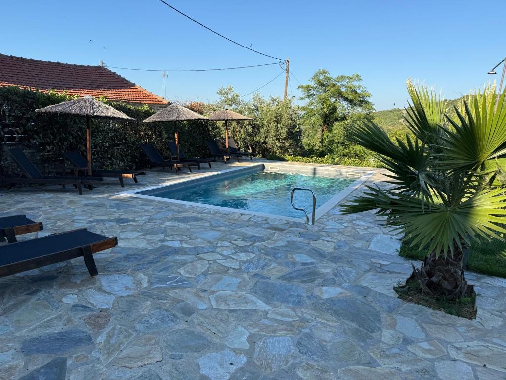 ein Swimmingpool mit einer Palme im Garten in der Unterkunft Tsagarakis Studios in Xinóvrisi