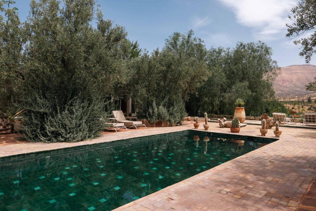 a swimming pool in a yard with trees at Sel d Ailleurs, Ouirgan - adults only in Ouirgane