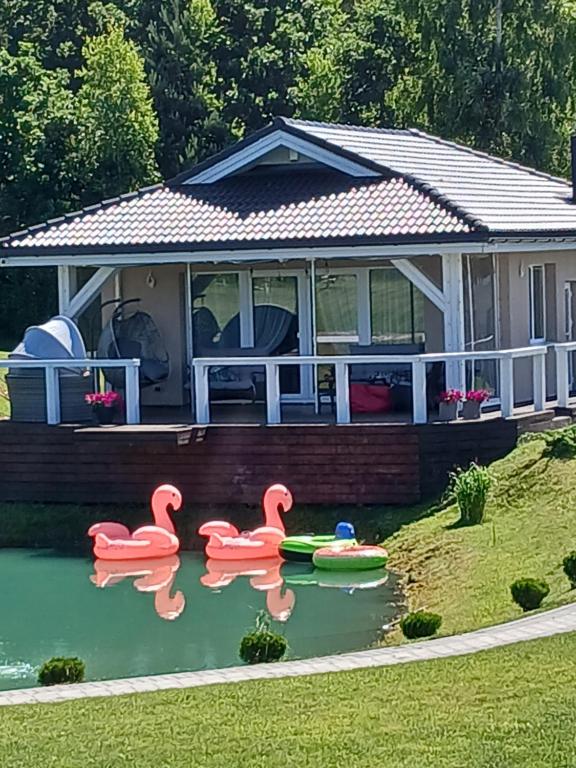 a house with pink swans in a pond at Lion Sauna in Vydmantai