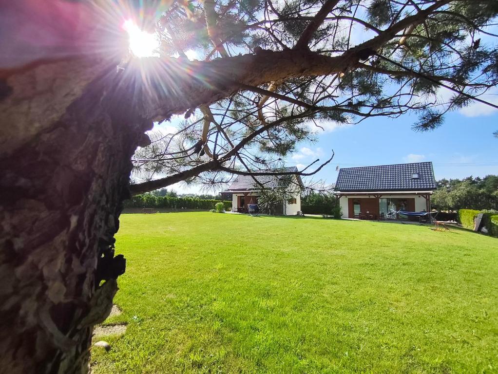 a house with the sun shining through a tree at Domki Sielankowo in Odargowo