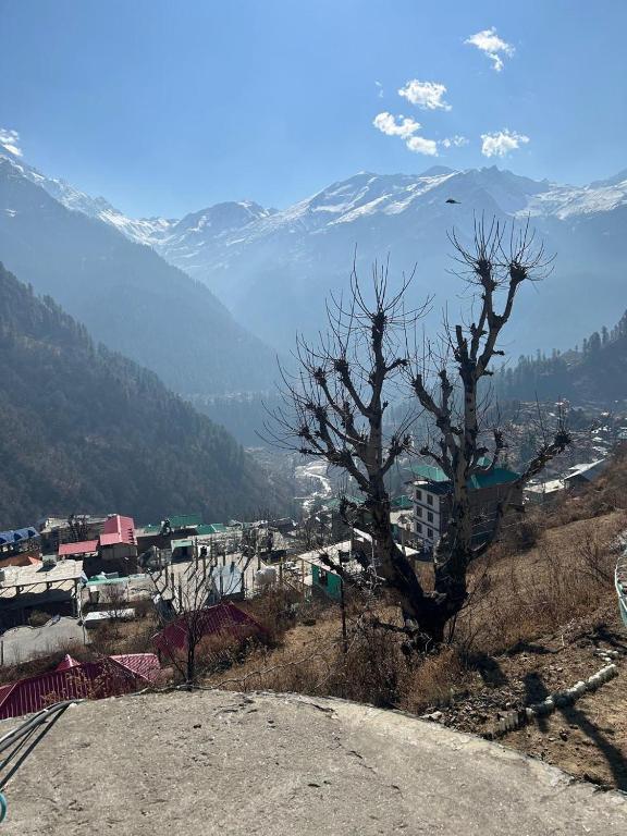 a tree sitting on top of a hill with a mountain at Bunkar house in Tosh