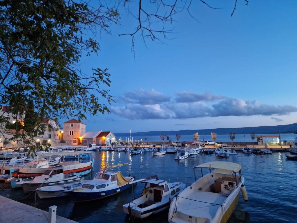 a group of boats docked in a harbor at night at sunny apartment in Bol
