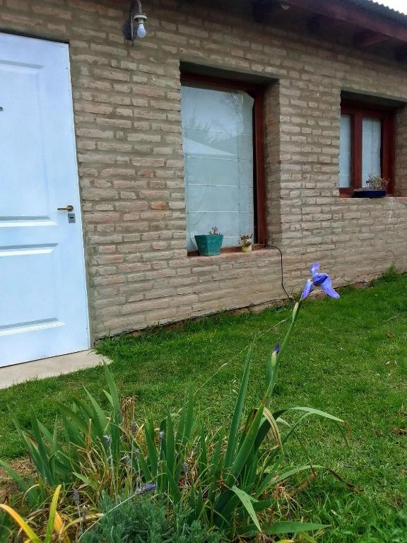 a flower in the grass in front of a house at El Espinillo 2 in La Falda