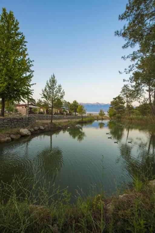 a pond with trees and a stone wall next to it at Kozalak Bungalows in Çaykenarı