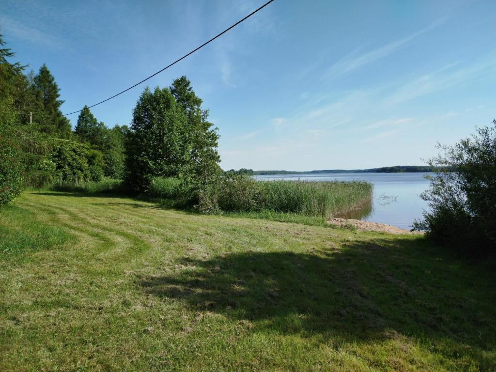 a grassy field next to a body of water at Pole u Daniela in Grzybina