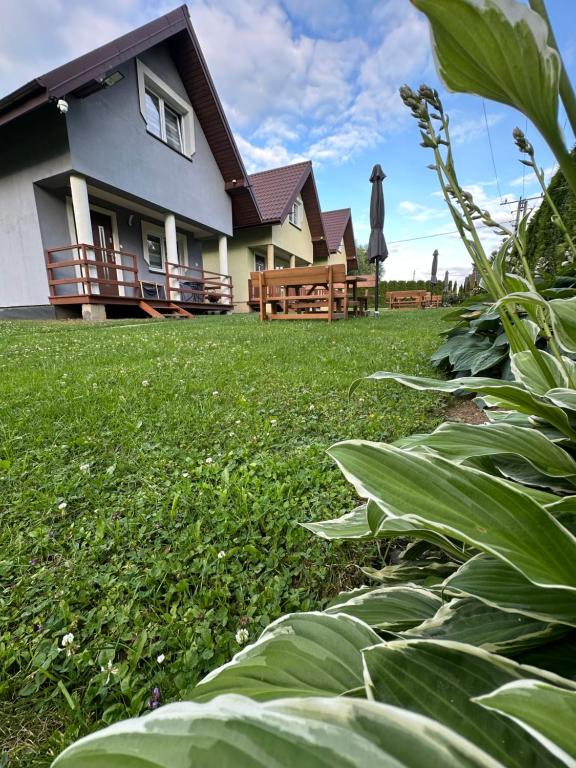 a house with a green lawn in front of it at Domki u Marka in Polańczyk