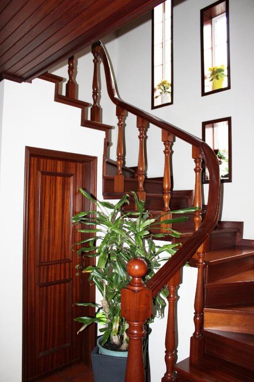 a wooden staircase with a potted plant in a house at JP Guest House in Aveiro