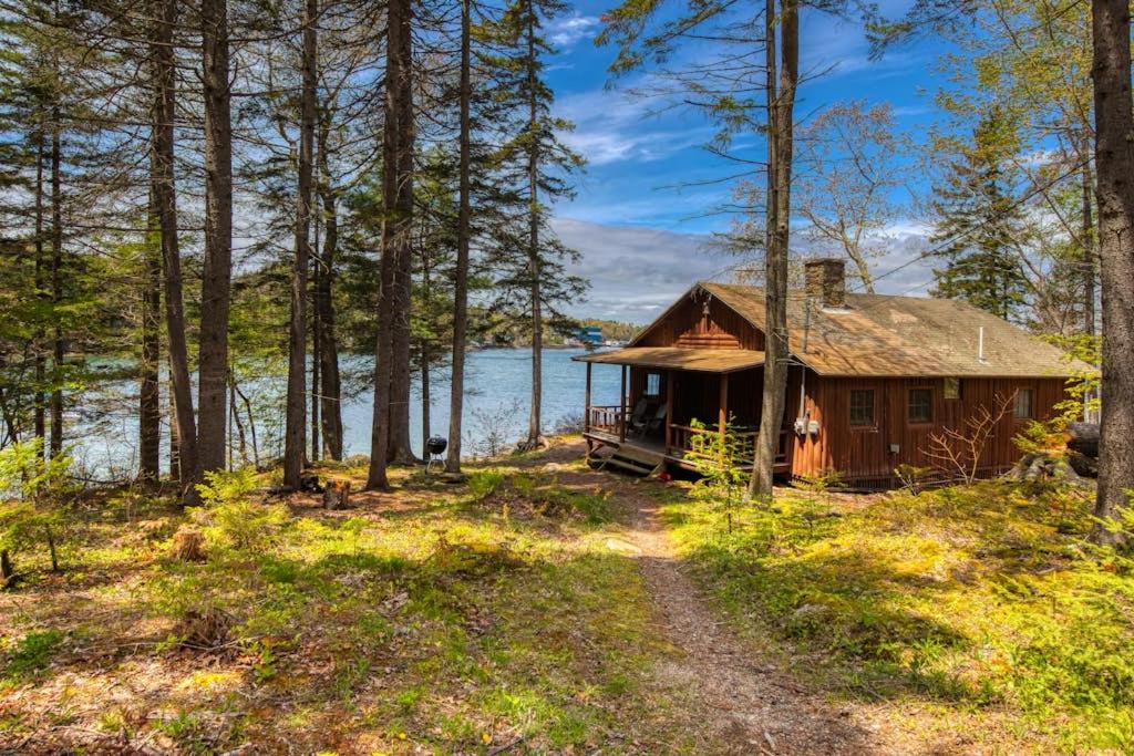 a cabin in the woods next to a body of water at Waterfront cabin with ocean view & private dock in East Boothbay