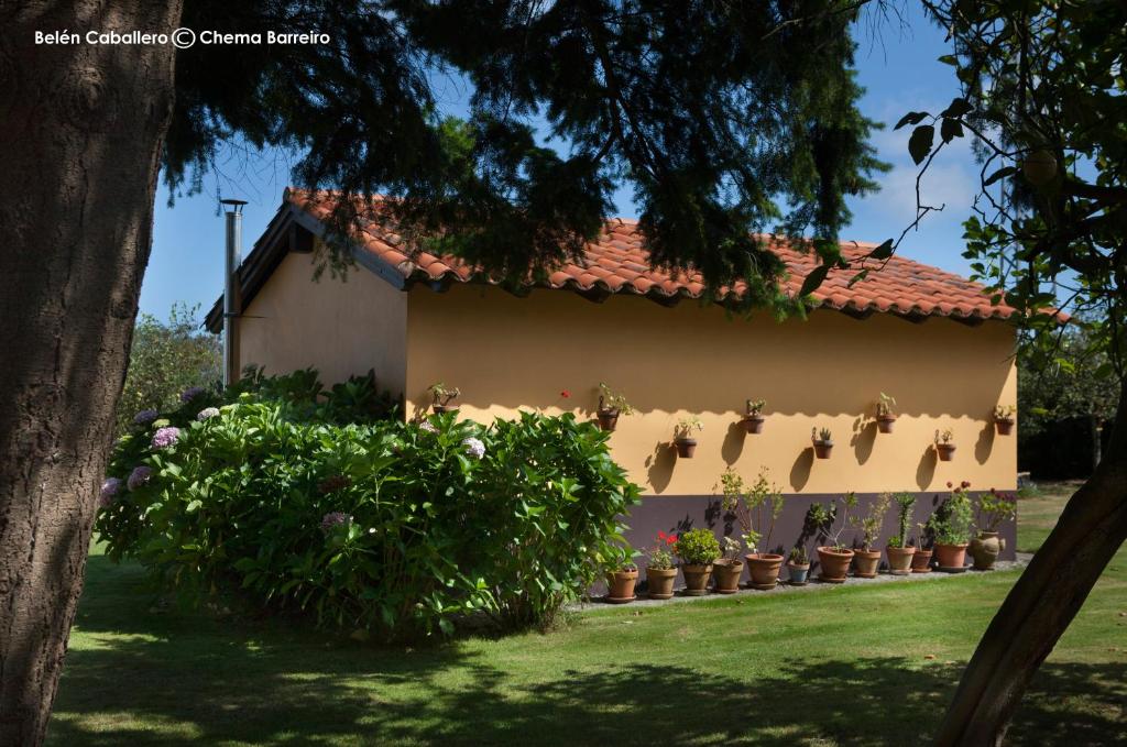 Zahrada ubytování La Casona de Quintes