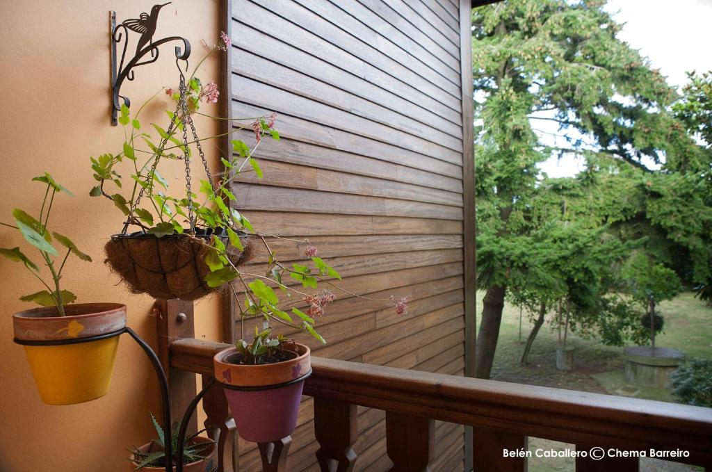 Zahrada ubytování La Casona de Quintes