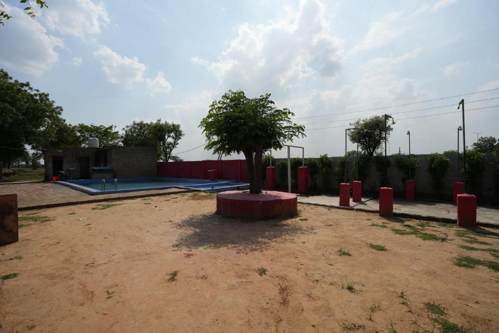 a tree sitting in the middle of a dirt yard at Rupani Dhani Farmhouse by Belmore in Mandkaula
