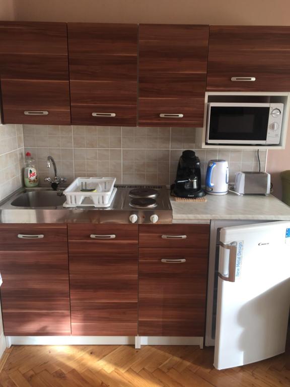 Kuchyň nebo kuchyňský kout v ubytování Apartman Edit