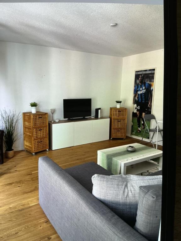 a living room with a couch and a tv at Bellavista in Bern