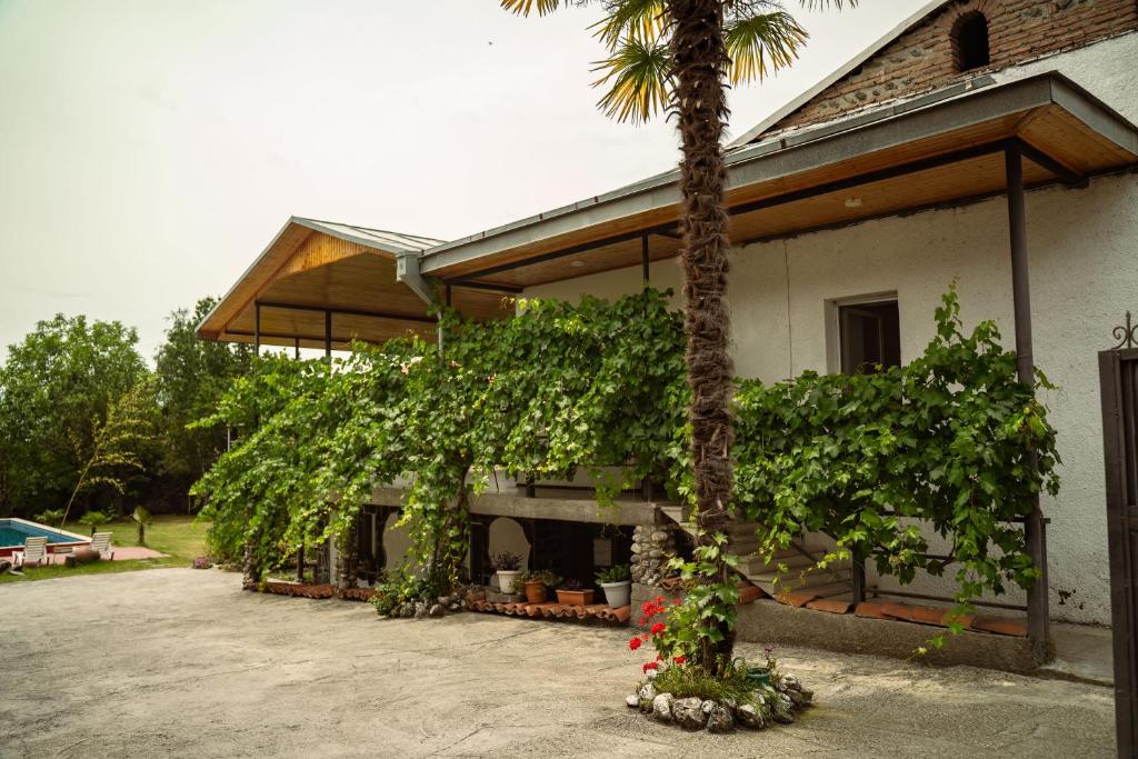 a house with a palm tree and a fireplace at Varga Kvareli in Kvareli