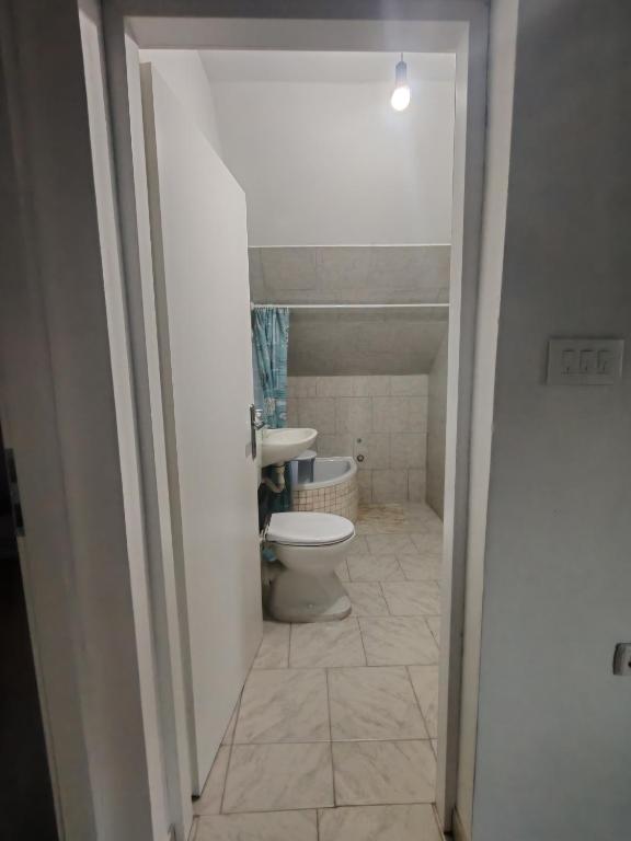 a bathroom with a toilet and a sink at Apartmani Mila in Brlog