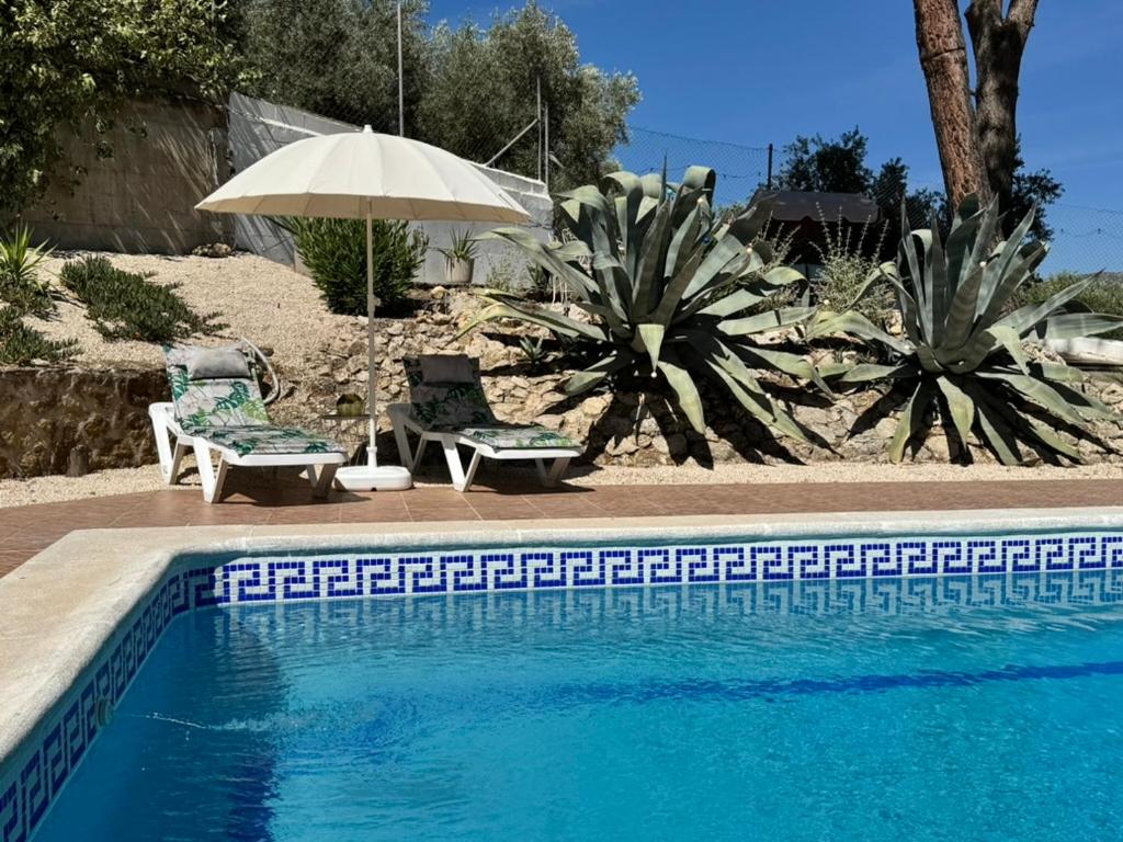 a swimming pool with two chairs and an umbrella at Cortijo Cenascuras in Priego de Córdoba