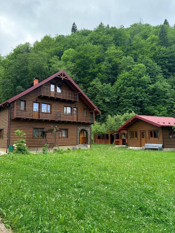 a large wooden house in a field of green grass at TaVa House 2 in Yaremche
