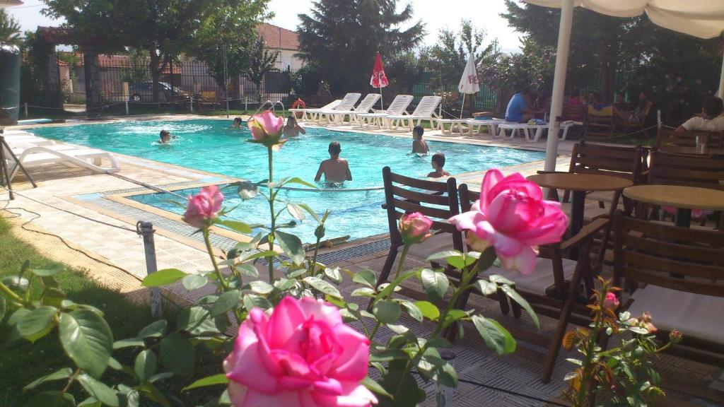 a pool with people in the water and pink roses at Prespa Resort & Spa in Platy