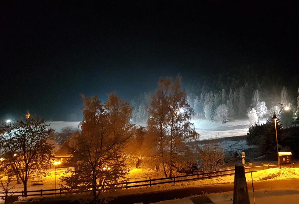 a snow covered field at night with lights at Hotel Bellavista in Saint Nicolas