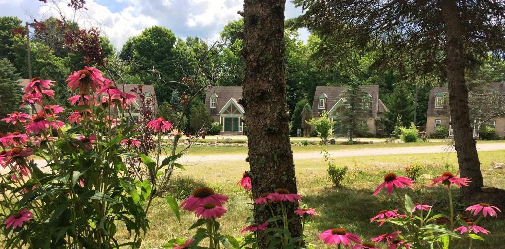 Spruce Hill Inn & Cottages photo