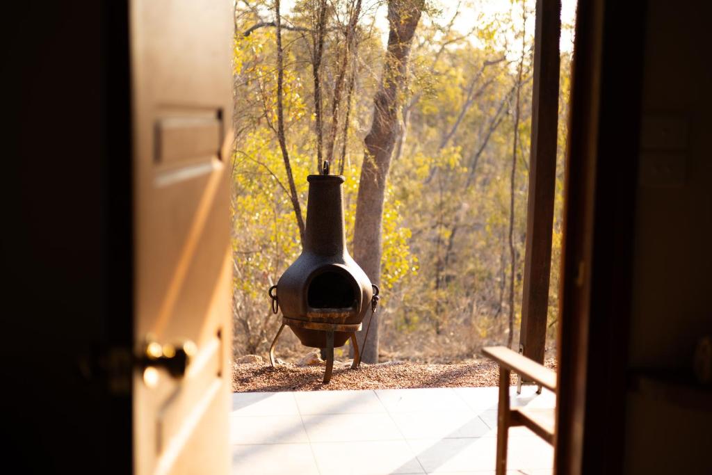 a view from a door of a vase outside a window at Hidden Valley Cabins & Tours in Coolbie