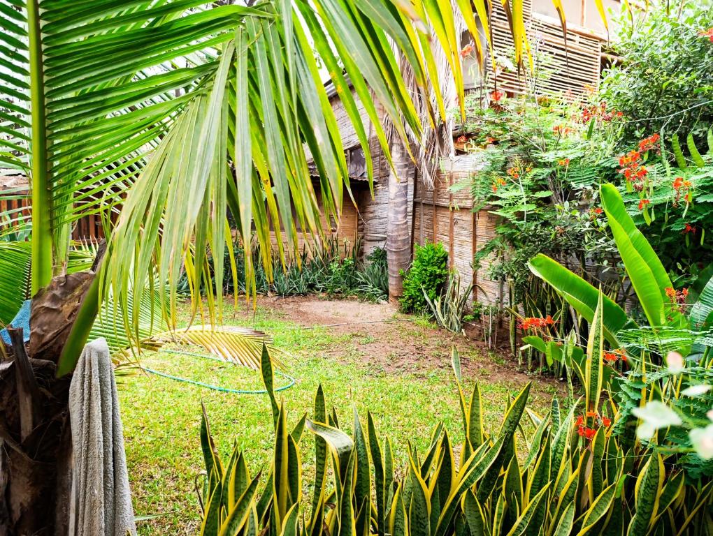 a garden with a palm tree and other plants at Guayobungalows in Máncora