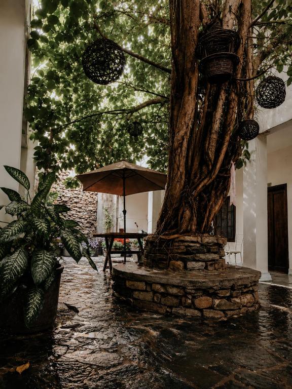 an umbrella sitting next to a tree in the rain at Hotel Puerta de Jade in Ciudad Valles