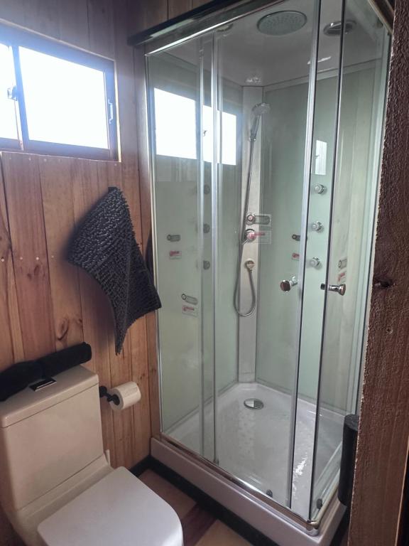 a bathroom with a shower and a toilet at Cabaña in Pirque
