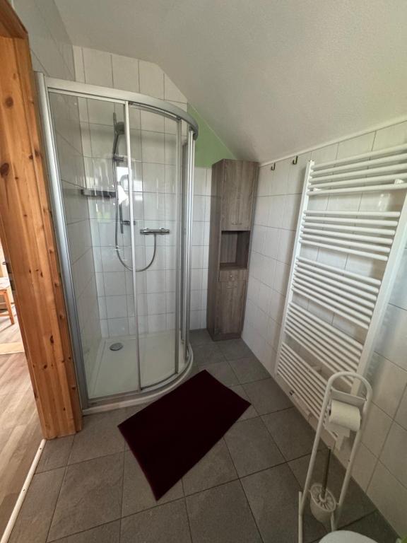 a shower in a bathroom with a glass shower stall at Café Landart im Thüringer Finistère in Plaue