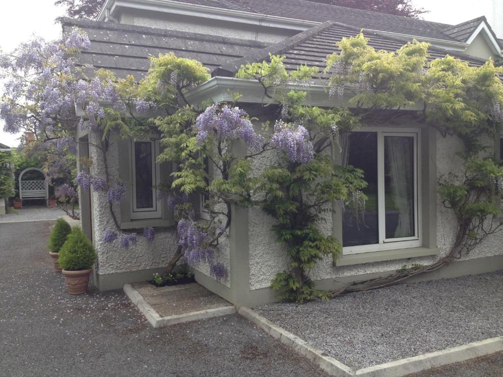 Zahrada ubytování Sea Dew B&B