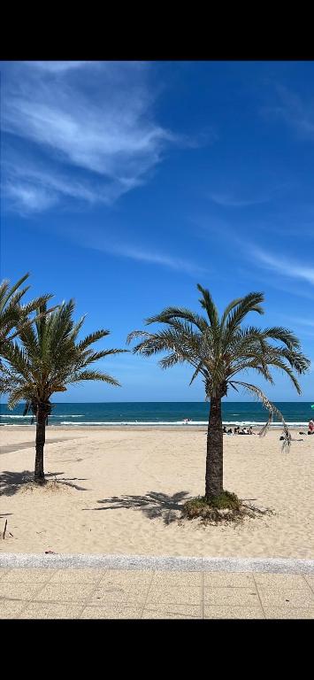 two palm trees on a sandy beach near the ocean at Benning Haus Gandia in Gandía