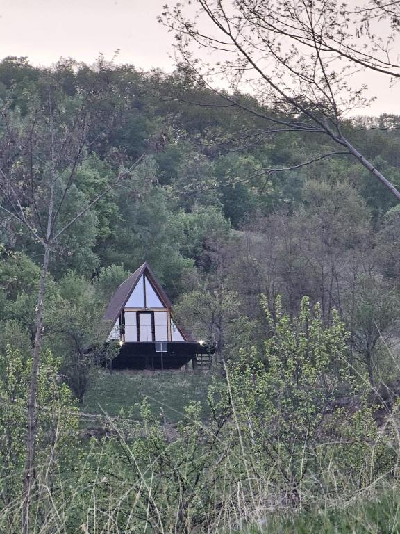 a small house in the middle of a forest at Casuța din Colți in Colţi