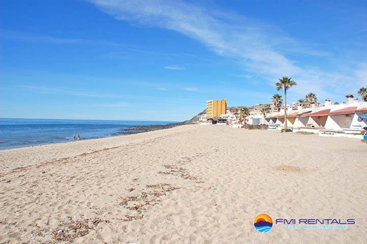 a sandy beach with palm trees and the ocean at La Felicidad in Puerto Peñasco