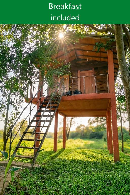 a tree house with a staircase in a tree at Vercour Tree House Cabana Sigiriya in Sigiriya